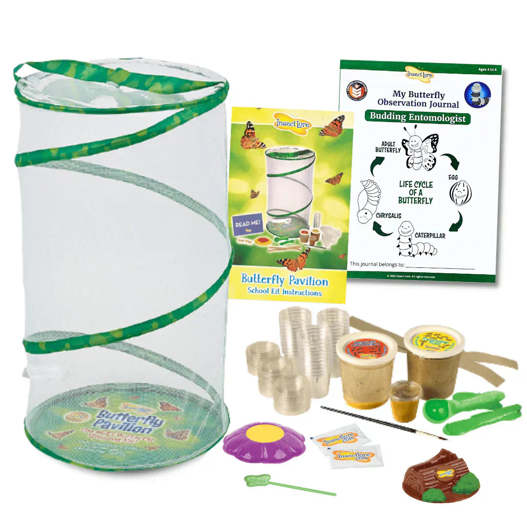 Tips for Growing Butterflies in the Classroom