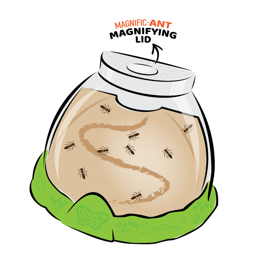 Antsy for the Holidays Gift Set