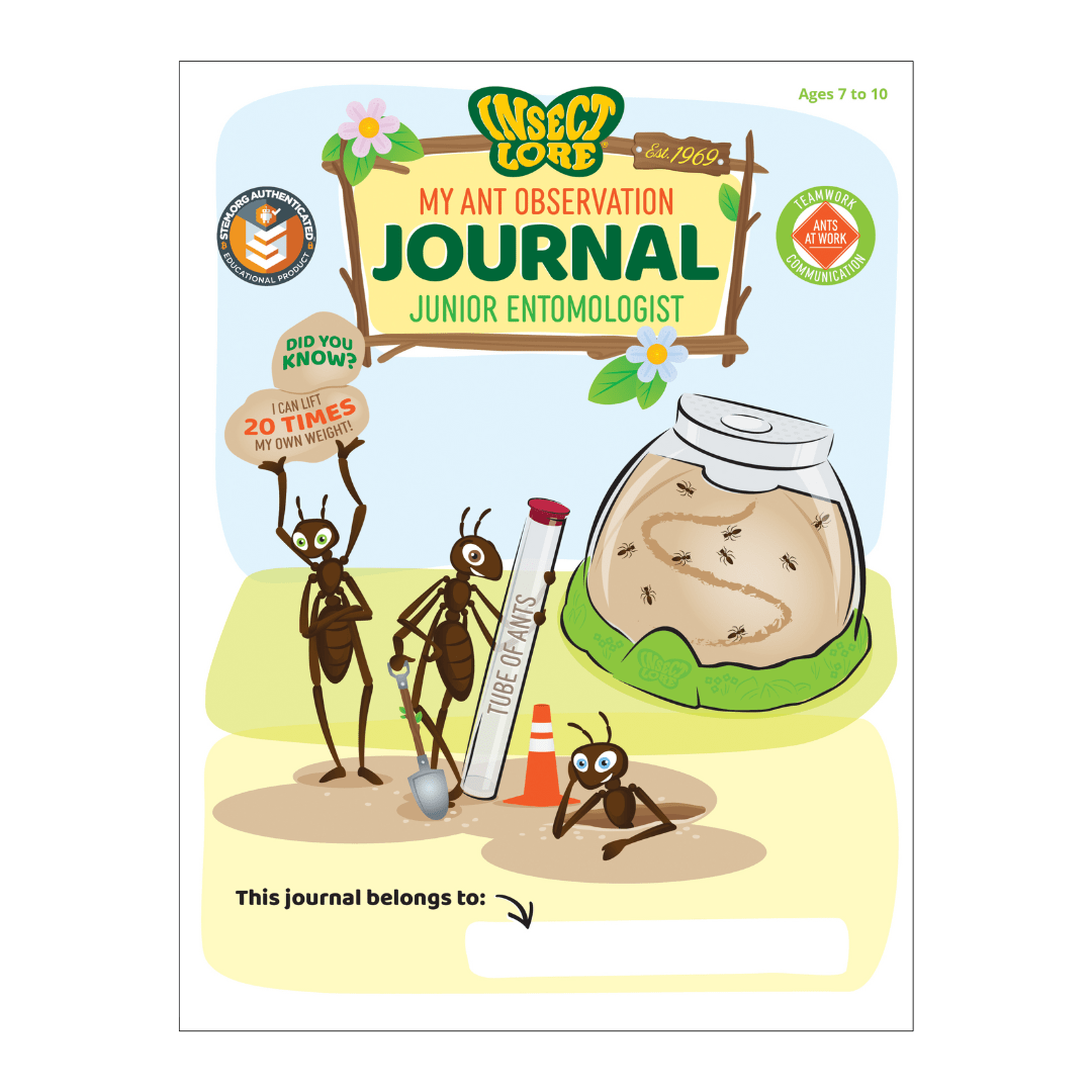 Antsy for the Holidays Gift Set