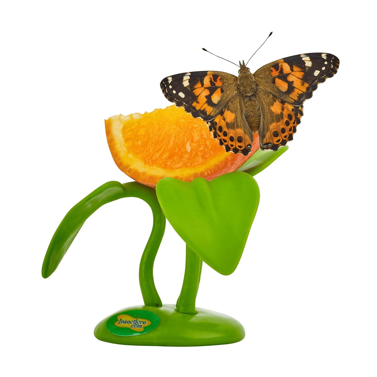 Butterfly Fruit Feeder