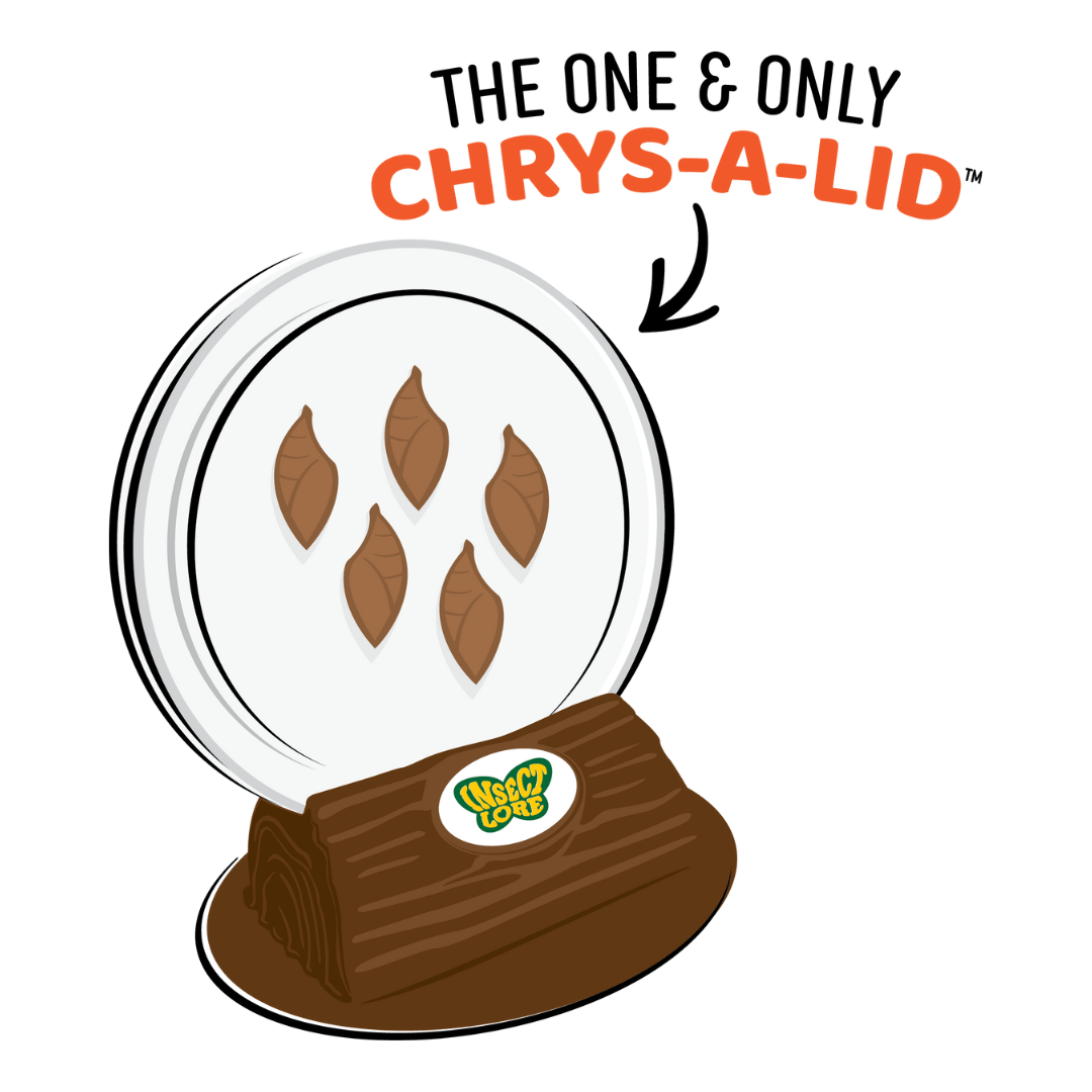 Butterfly Garden® With Prepaid Voucher with FREE Butterfly Life Cycle Stages