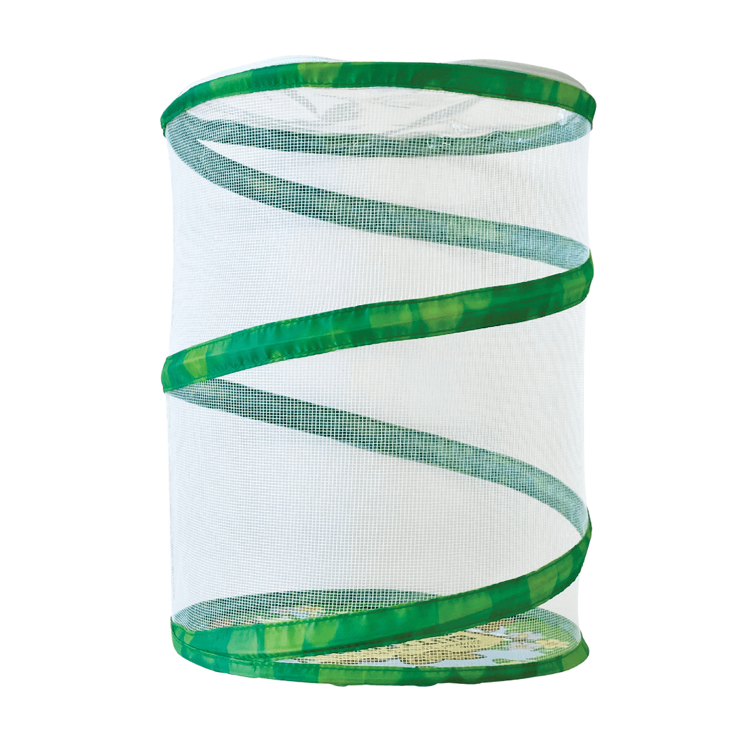 Butterfly Garden® With Prepaid Voucher with FREE Butterfly Life Cycle Stages