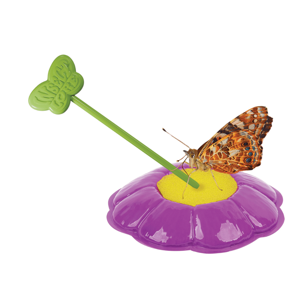 Butterfly Garden® With Prepaid Voucher with FREE Butterfly Life Cycle Stages