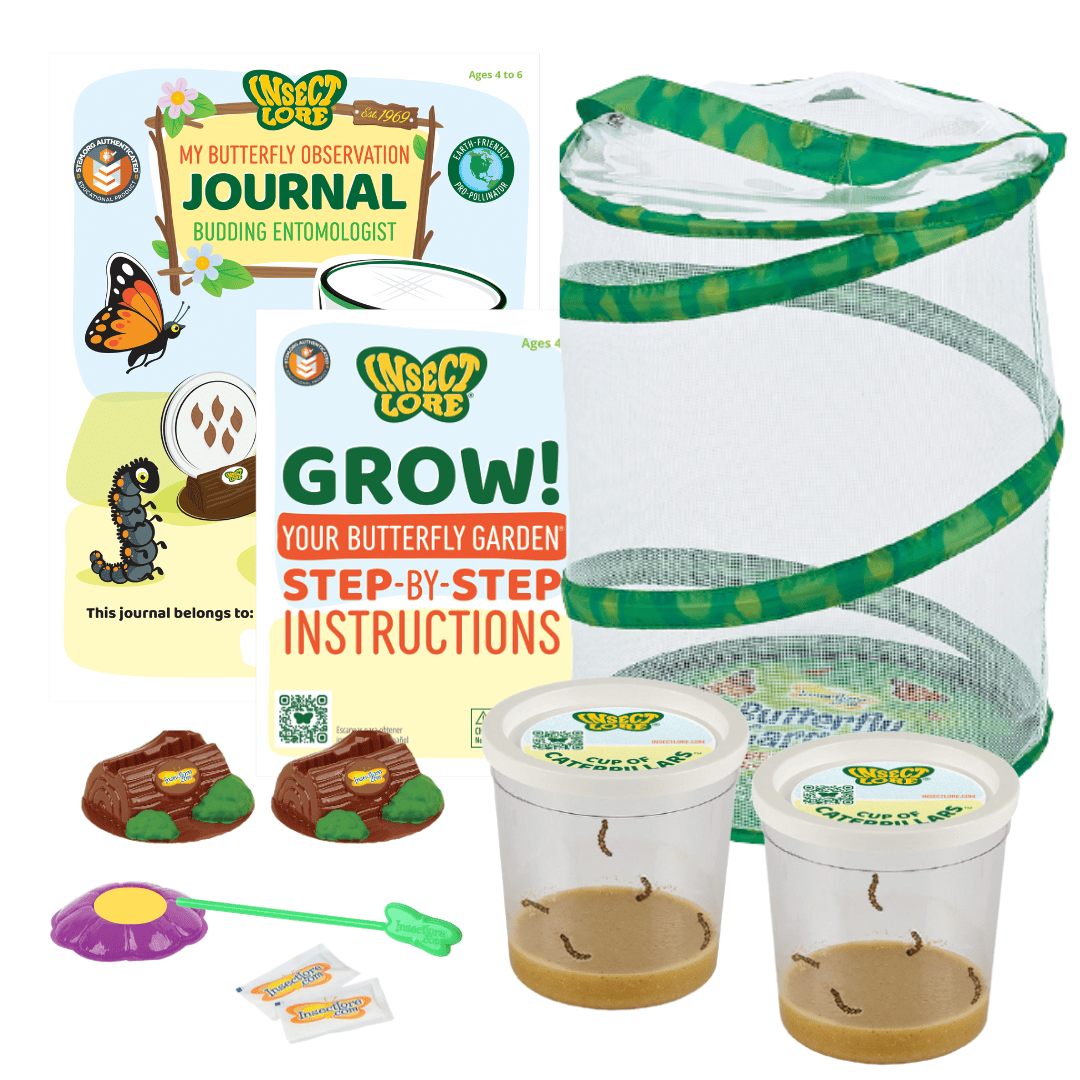 Butterfly Garden® With Two Cups of Caterpillars™
