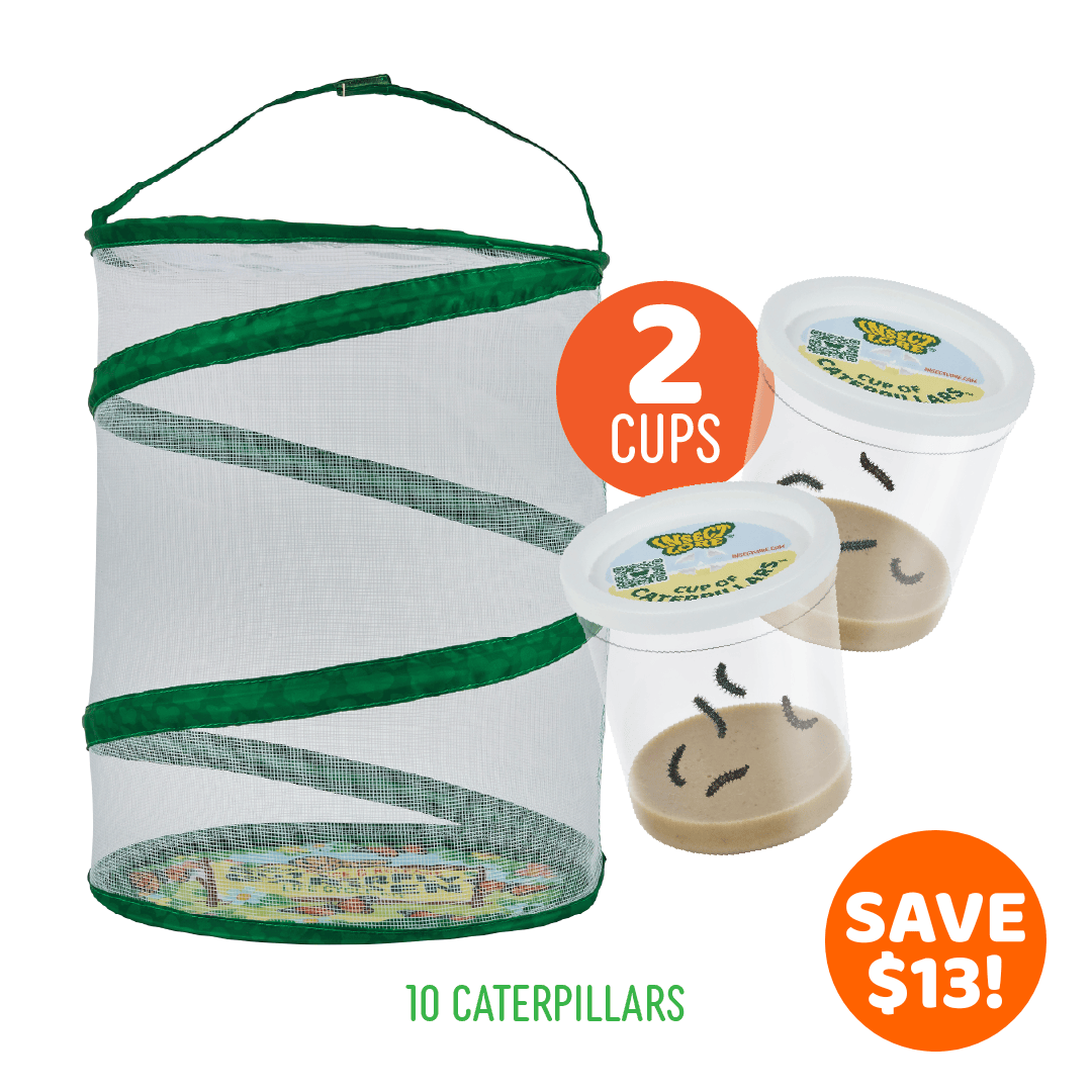 Butterfly Garden® With Two Cups of Caterpillars™