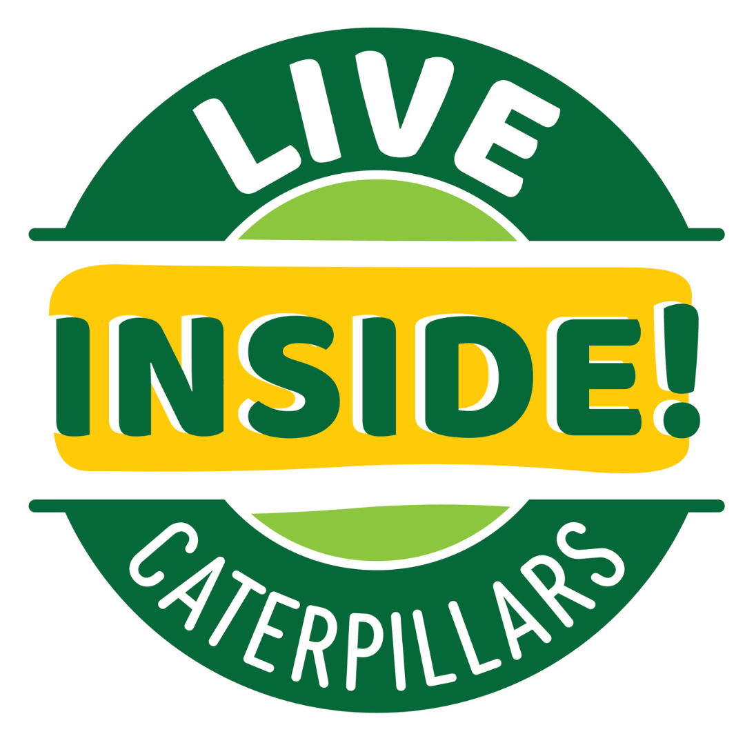 Butterfly Garden® Birthday Kit with Live Caterpillars