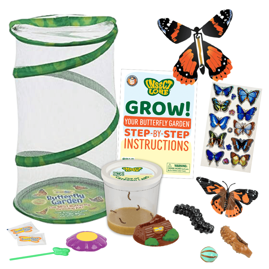 Spring Beginnings Bundle with Live Cup of Caterpillars™