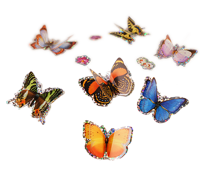 7 shimmering blue, orange, pink and brown 3D butterfly stickers.