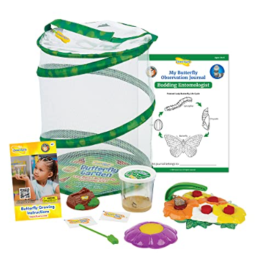 Butterfly Garden With Live Cup of Caterpillars ® and Deluxe Butterfly Feeder