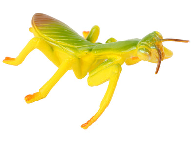 Realistic, plastic, green adult praying mantis figurine.