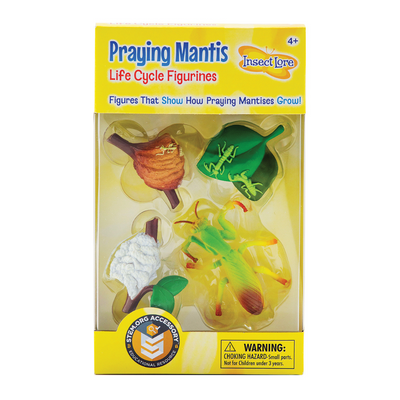 Yellow packaging with realistic, plastic figurines of the life cycle of a praying mantis