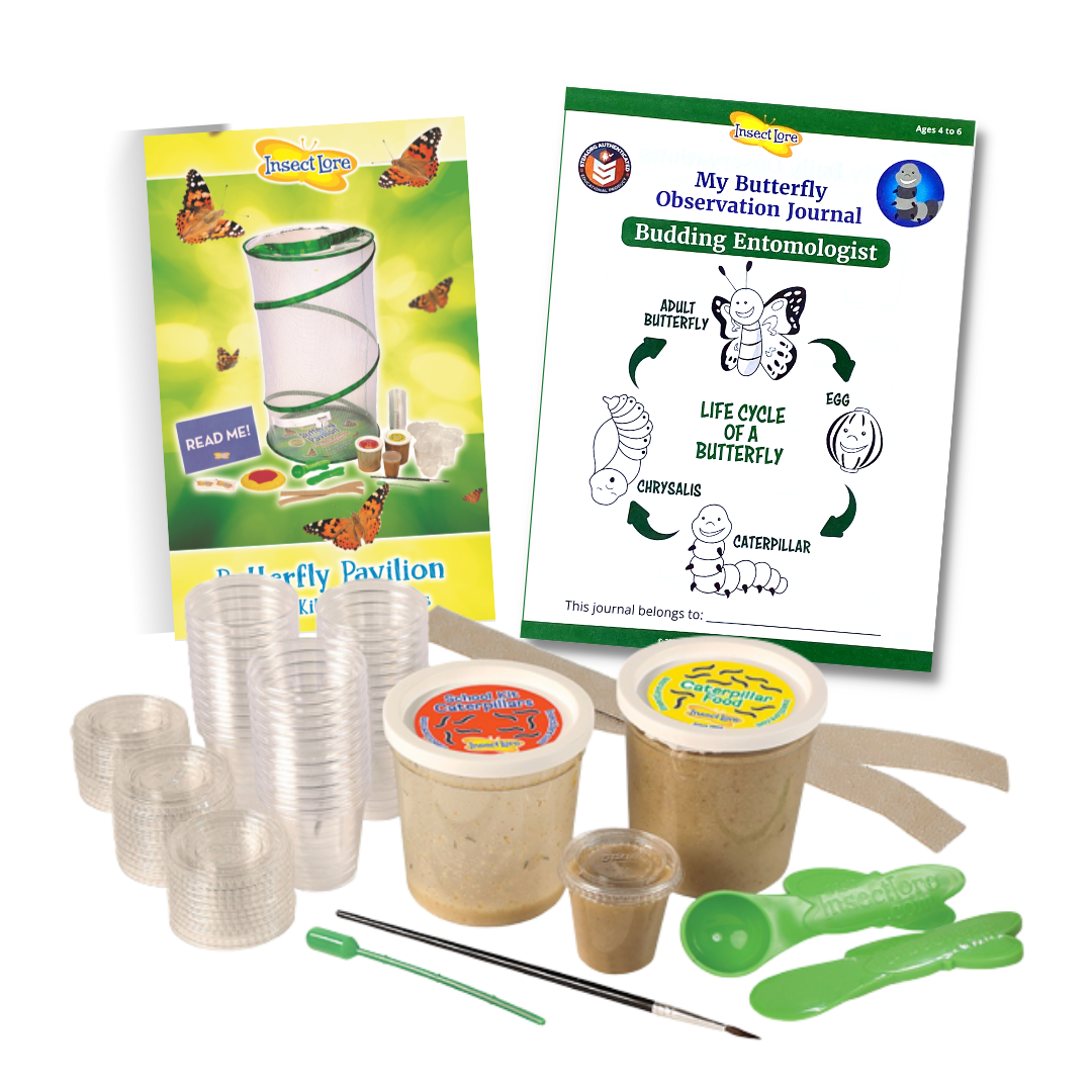 White and green STEM Observation workbook, green and yellow School Kit instructions, 33 small vials with lids, a Cup of 33 Caterpillars, a cup of caterpillar food, loop fasteners, paint brush, water dropper, and green spoon and knife set.