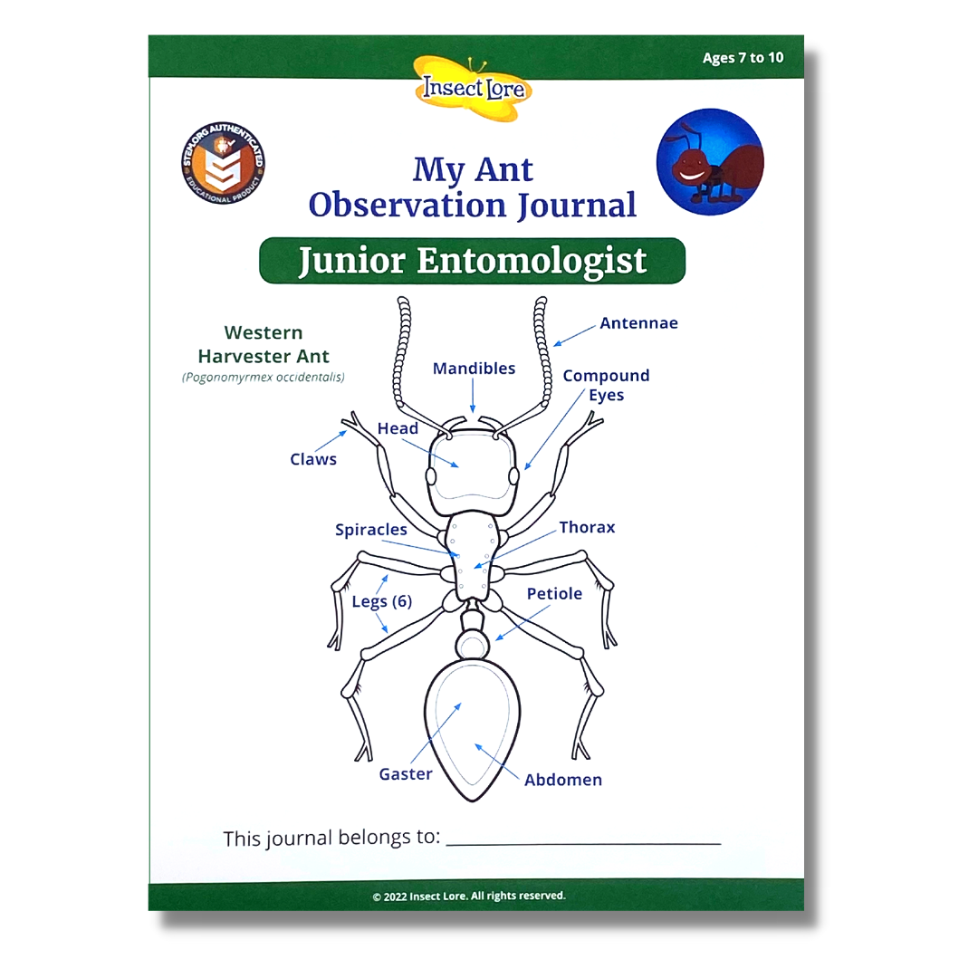 STEM Observation Journal showing the anatomy of an ant