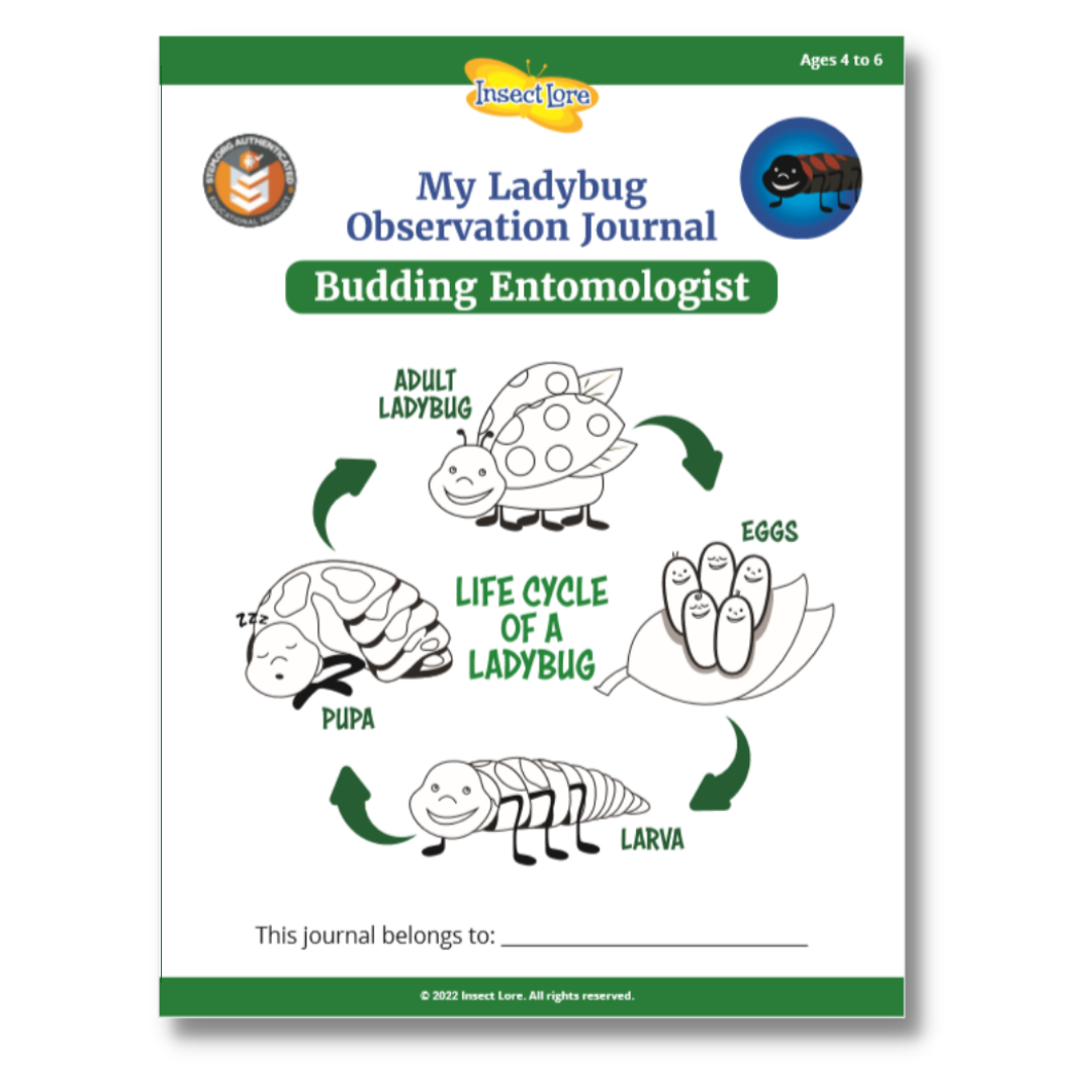 STEM Activity Journal Cover showing the life cycle of a ladybug
