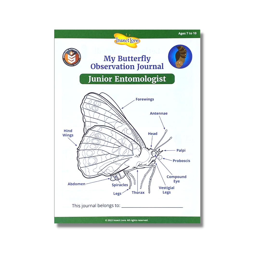 Junior Entomologist STEM Journal (Ages 7-10) - Special Offer!