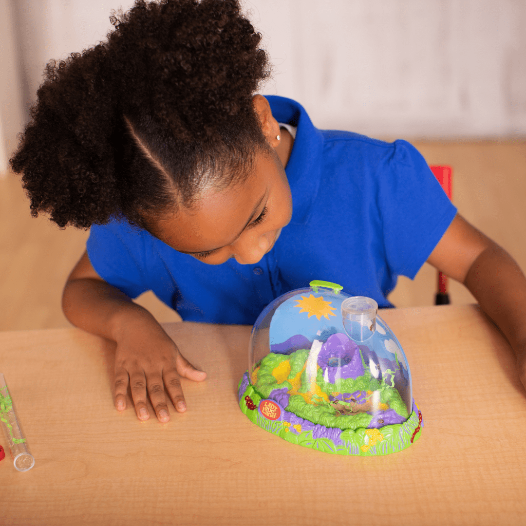Small girl with blue shirt looking into green, blue, and purple Ladybug Land