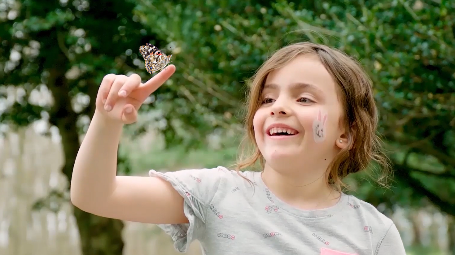 Butterfly Raising Kits: The Perfect Easter Gift - Insect Lore