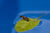 A lone ant standing on a lead that's floating on blue water.