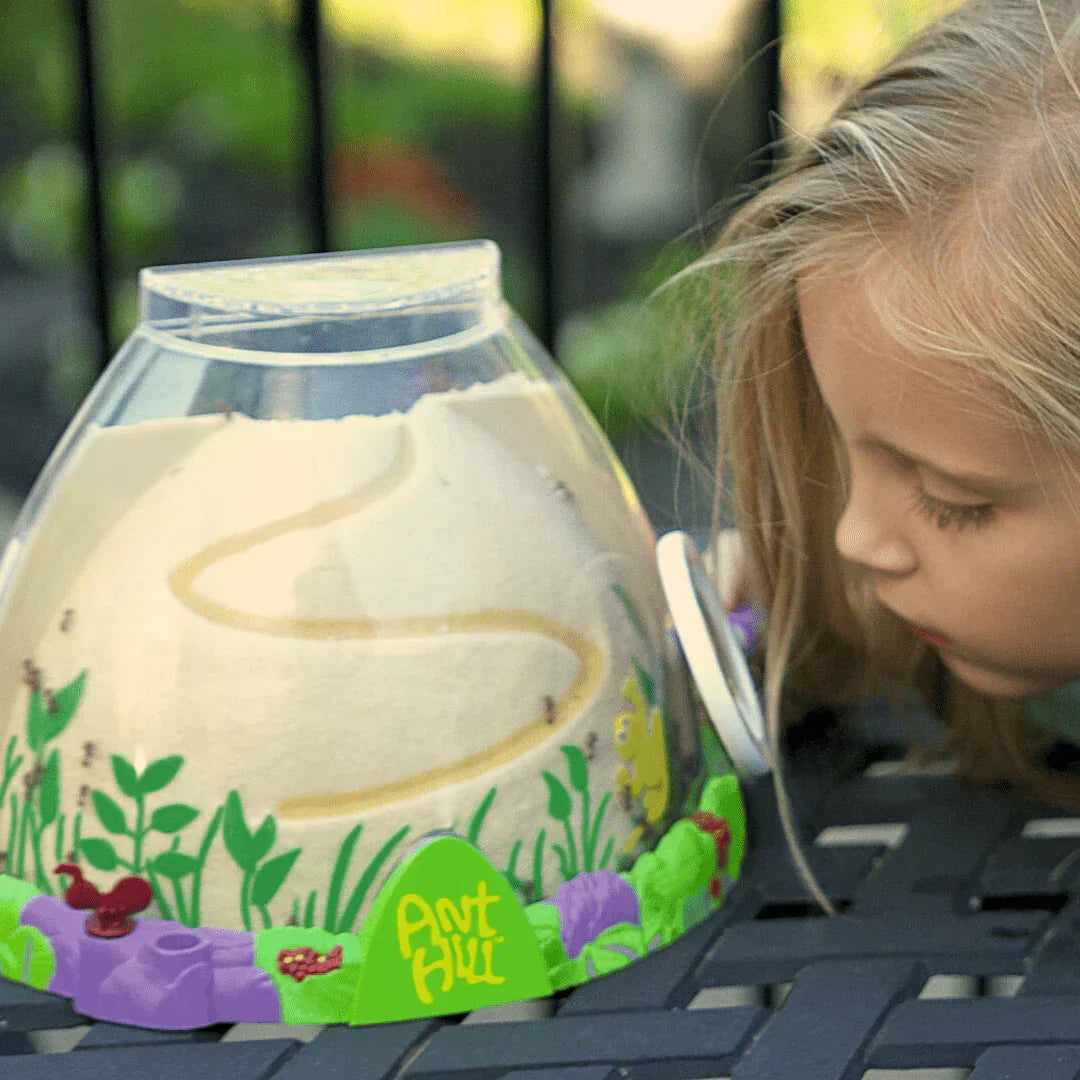 Curious young girl with blonde hair examining an Insect Lore Ant Hill with an insect magnifying glass.