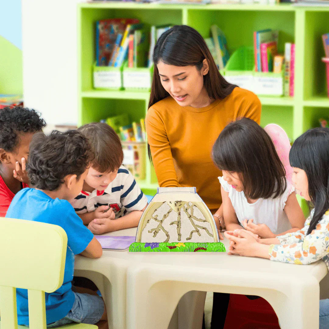 Educational Benefits of Ant Kits for Kids and Classrooms