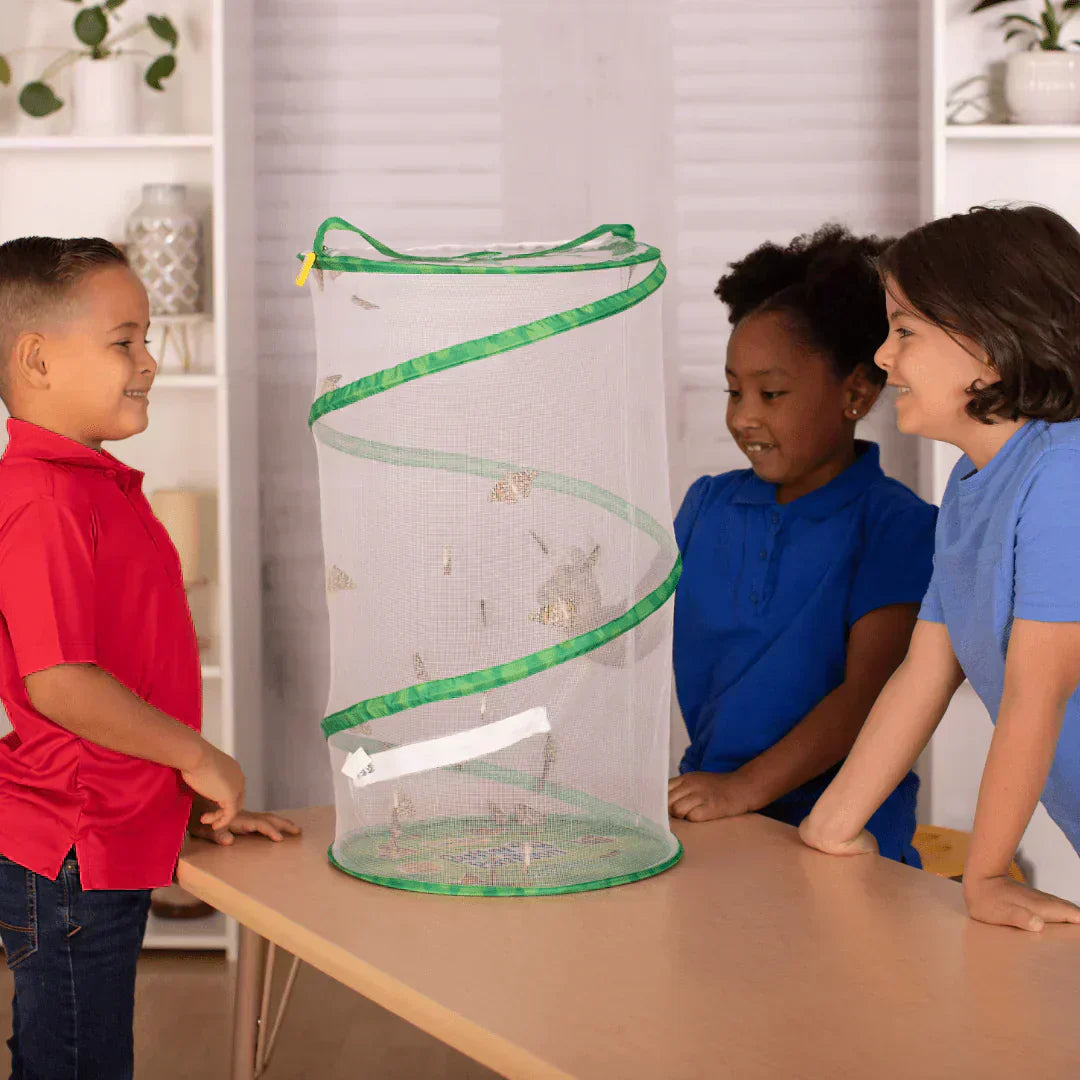 Tips for Implementing STEM Education in the Elementary Classroom