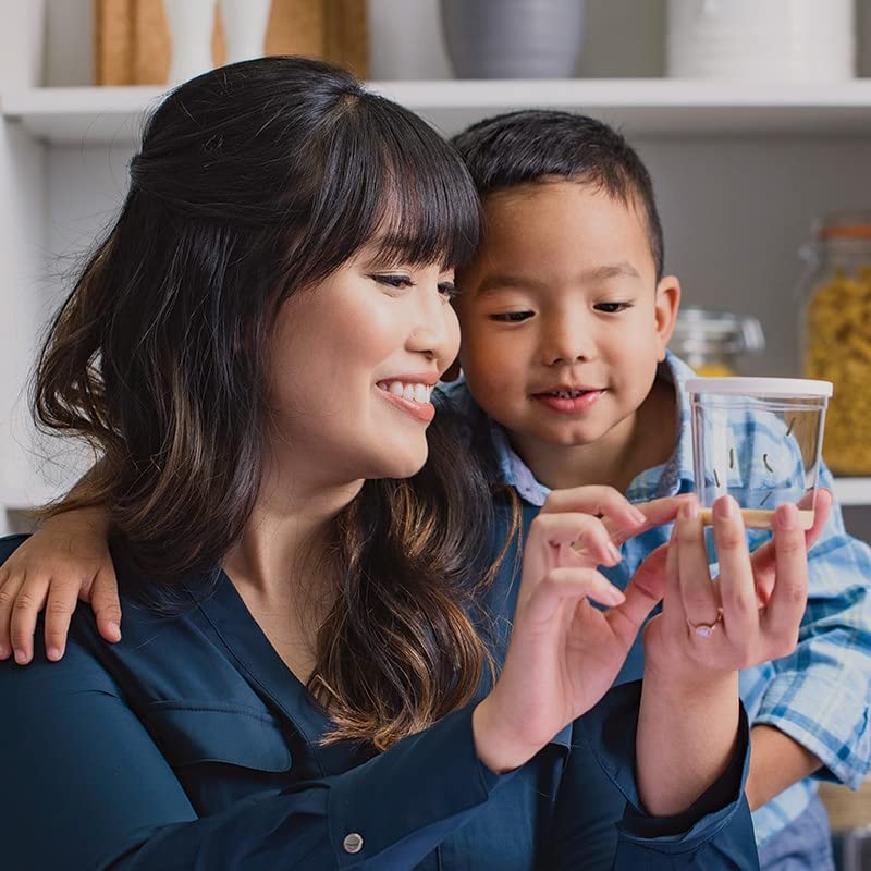 5 Interactive Lesson Plan Ideas for Kindergarten Science: Exploring Insects
