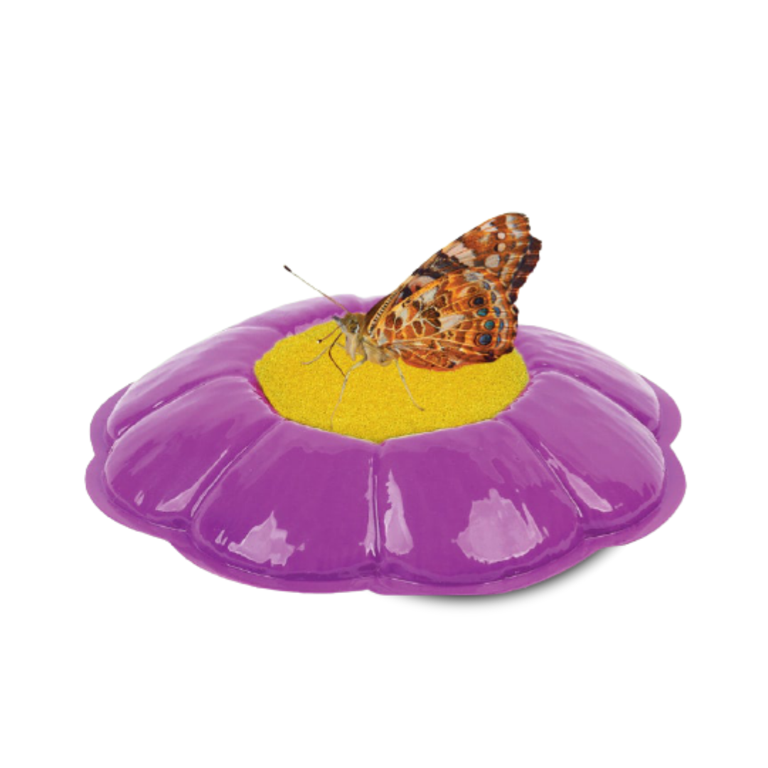 Butterfly Garden® With Live Cup of Caterpillars™ - Insect Lore