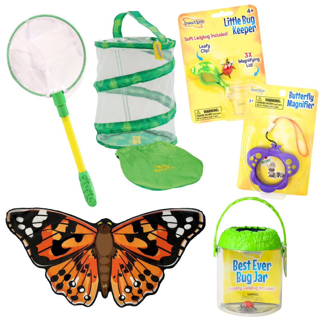 Voucher When Project Butterfly Pavilion® With Ready Plan | - Insect Your Lore