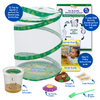 Butterfly Garden Birthday Kit With Live Caterpillars