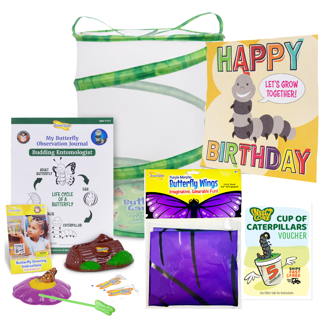 Butterfly Garden® Birthday Kit With Prepaid Voucher and FREE Purple Morpho Dress-Up Wings