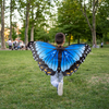 Dress Up Blue Morpho Butterfly Wings