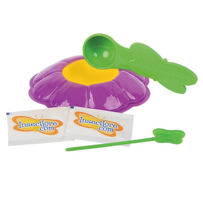 Green spoon, purple flower shaped butterfly feeder with yellow sponge center, two sugar packets, a green nectar dropper