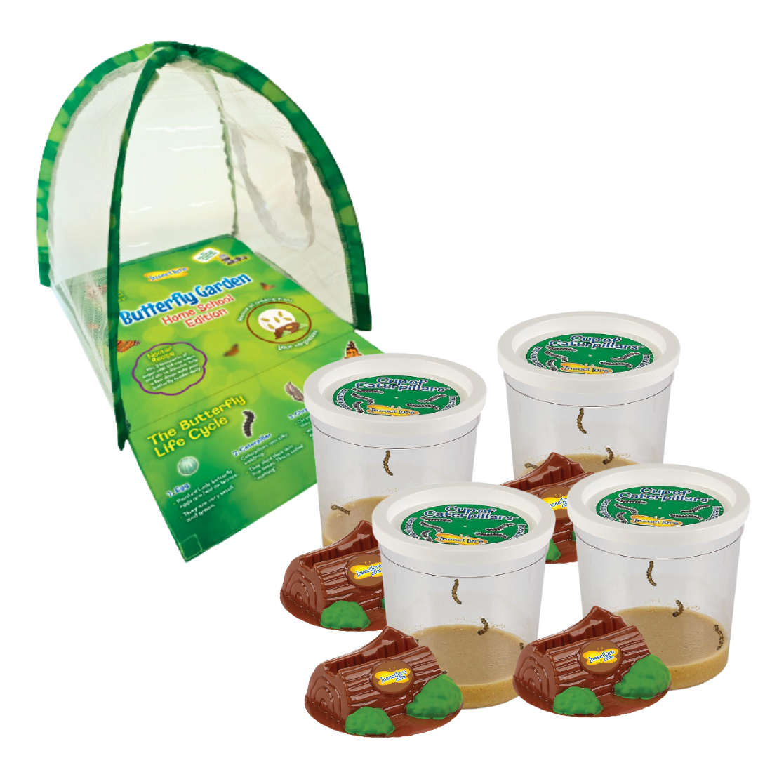 Funtastic 4 Cup Caterpillar Refill with FREE Butterfly Garden® Early Learning Habitat