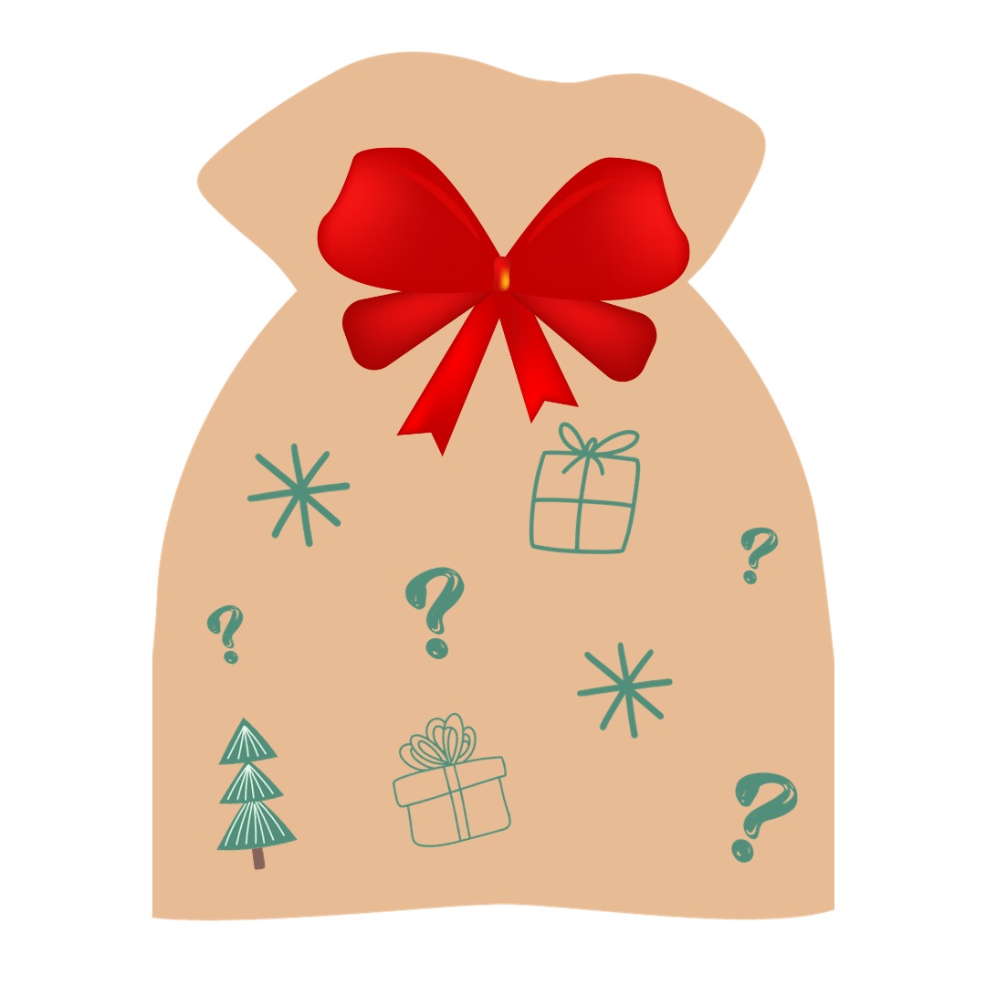 Holiday Surprise Bag - Special Offer!