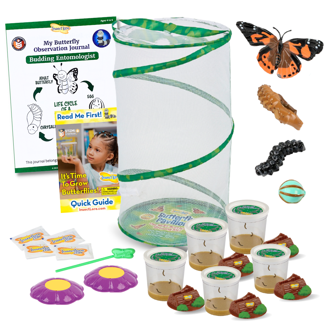 Easy 25 School Kit with FREE Butterfly Life Cycle Stages Figurines