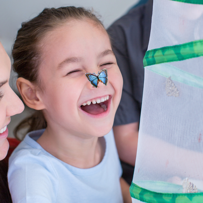 Mini Butterfly Garden Gift Set With PREPAID Voucher