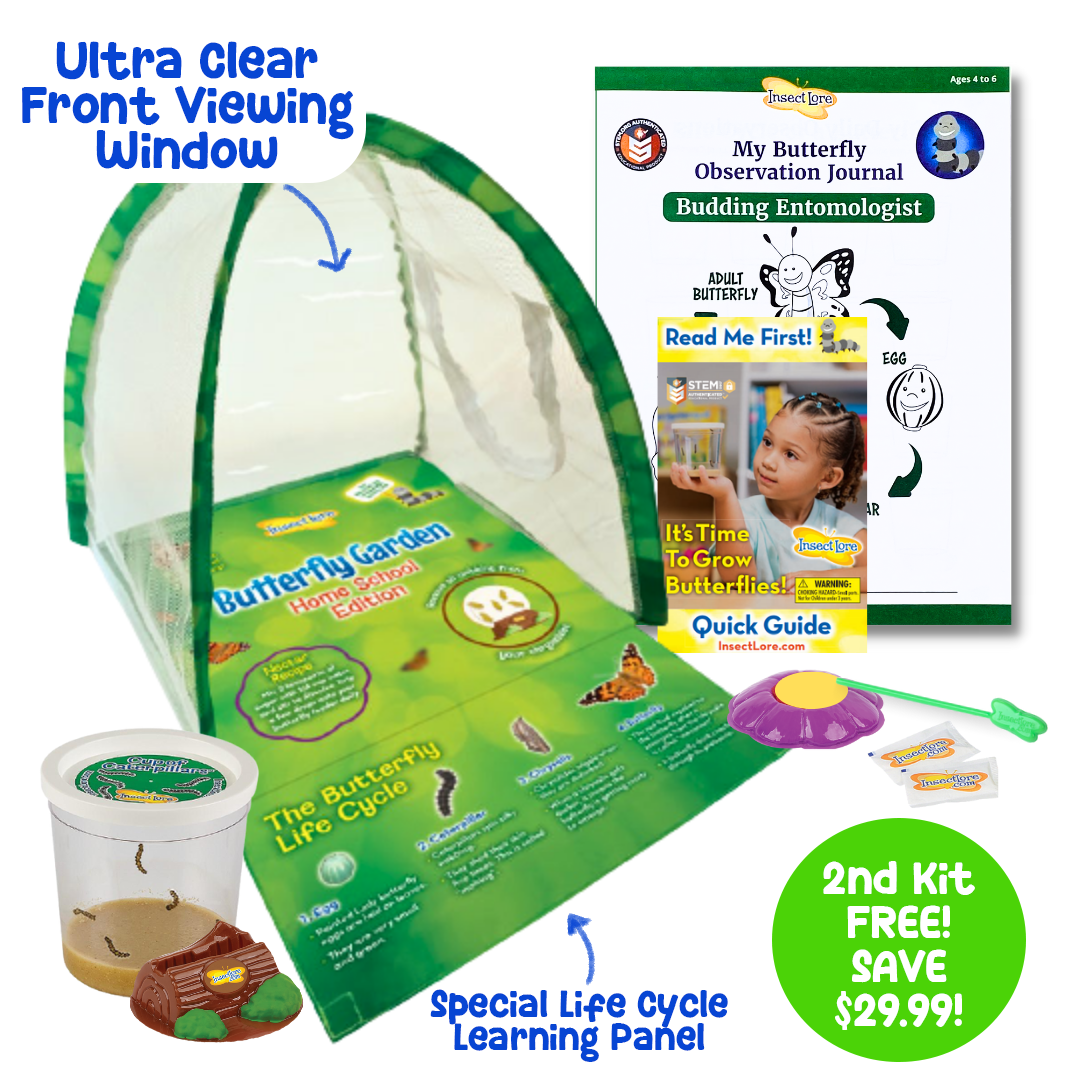 Buy a Butterfly Garden Home School Edition with Live Caterpillars, Get a 2nd Full Kit FREE