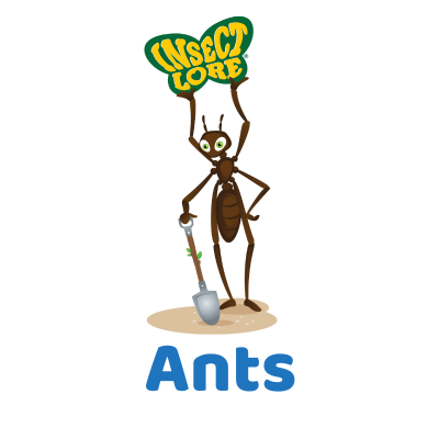 Cartoon ant standing and holding a shovel in the dirt. It is holding up the Insect Lore logo above its head. The word "Ants" is listed below.