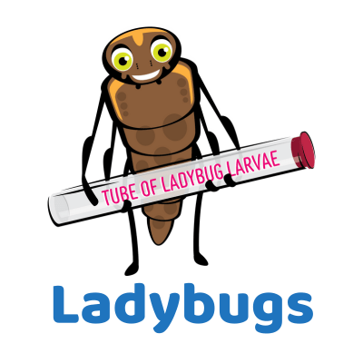 Cartoon ladybug smiling and holding a tube labeled "Tube of Ladybug Larvae". The word "Ladybugs" is listed below.