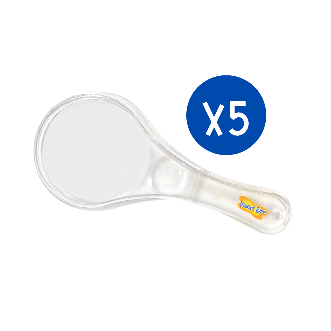 Insect Inspector Magnifier - Five Piece Party Pack!