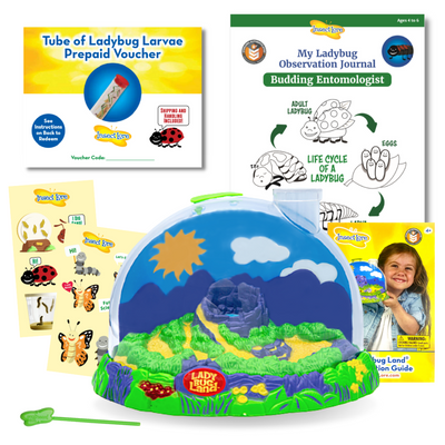 Ladybug Land With PREPAID Voucher