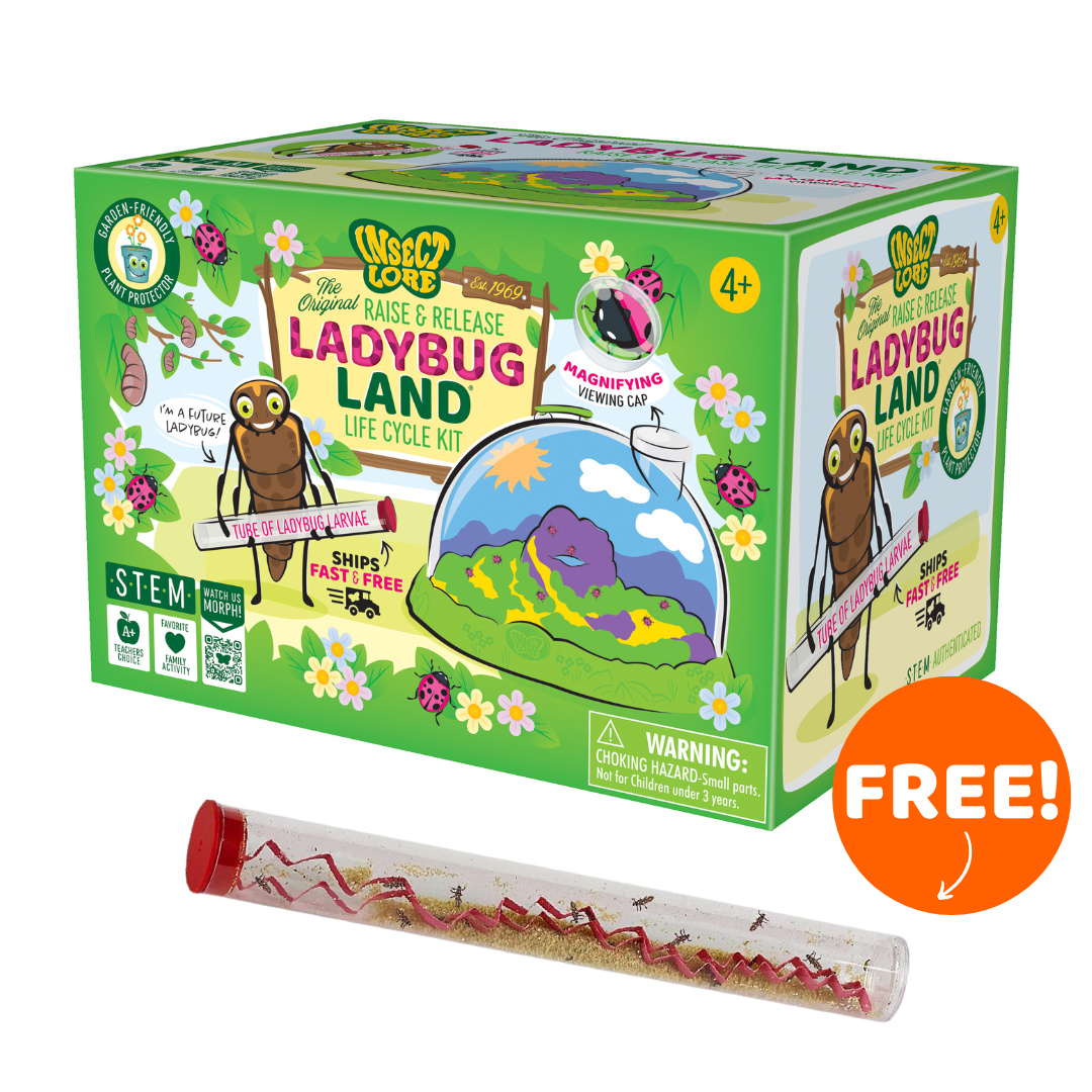 Ladybug Land® With Prepaid Voucher and FREE Tube of Ladybug Larvae