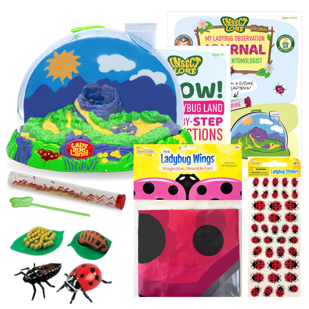 Summer Buggin' Bundle