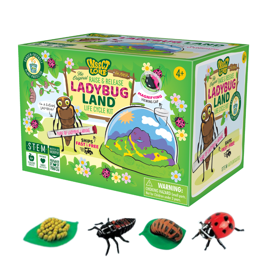 Ladybug Land® With Prepaid Voucher and FREE Ladybug Life Cycle Stages