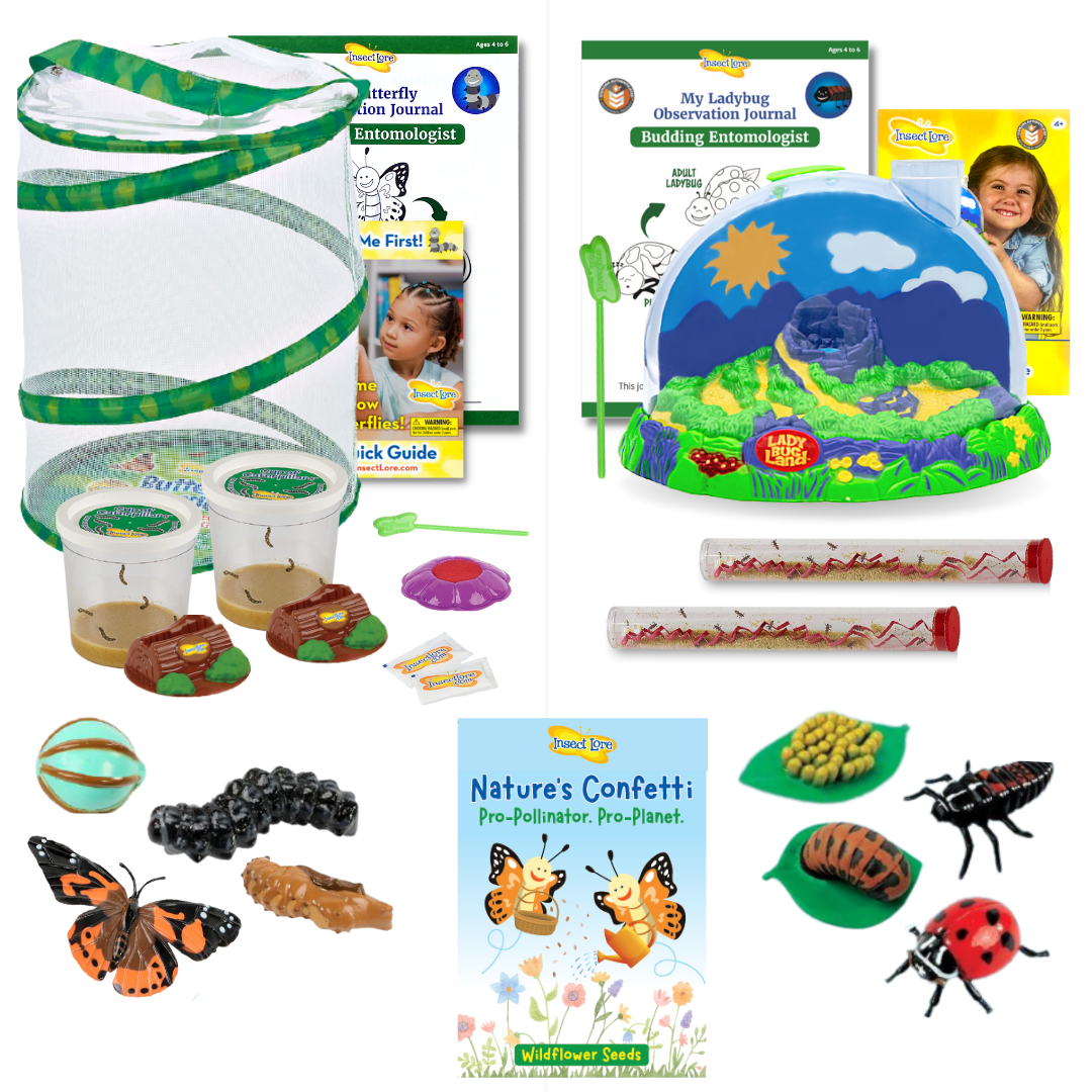 Life Cycle Lessons Bundle with Butterfly Figurines, Ladybug Figurines & Wildflower Seeds FREE