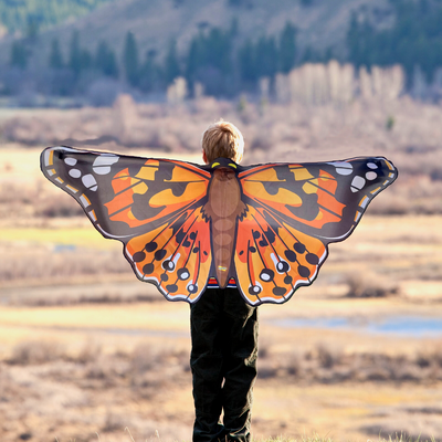 Small boy wearing dress up painted lady butterfly wings in nature