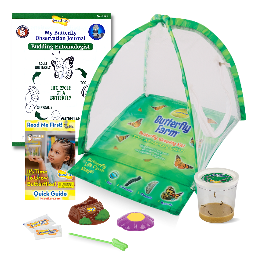 Butterfly Farm™ with Live Cup of Caterpillars™ - Insect Lore