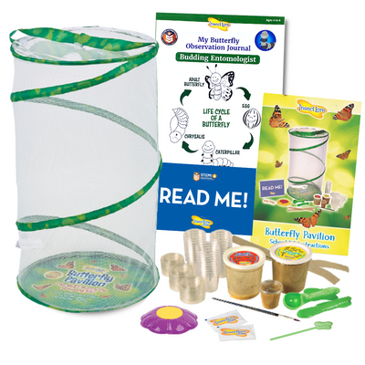 24 inch tall Butterfly Pavilion habitat, STEM Observation Butterfly Journal, School Kit Instructions, Small vials and lids, Cup of Caterpillars, Purple Flower Butterfly Feeder, Sugar Packets, Paint Brush, Spoon, Water dropper.