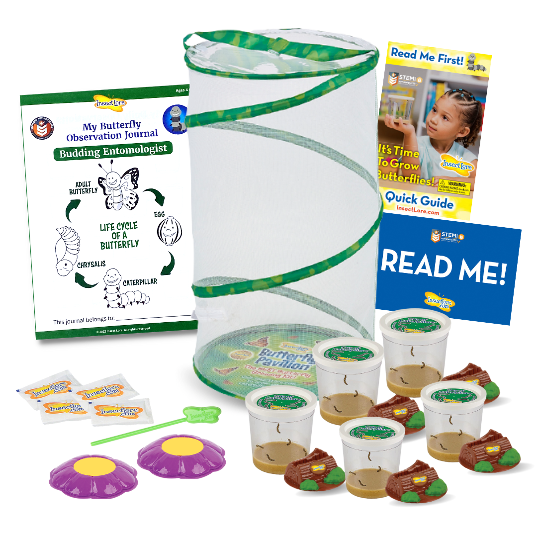 Large Butterfly Pavilion butterfly habitat, STEM Observation Journal, four sugar packets, two purple, flower shaped butterfly feeders, 5 Cups of Caterpillars, instructional guides.