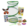 12" tall green mesh habitat, butterfly wind-up toy, sheet of 10 blue butterfly stickers, instructional guide, Cup of 5 baby caterpillars, nectar dropper, two sugar packets, purple flower shaped butterfly feeder, chrysalis holidng log